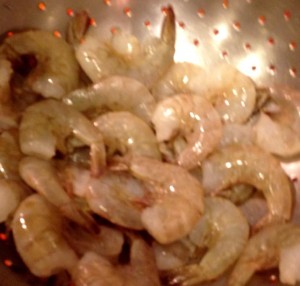 Scampi10