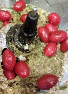 Vegan Lasagna - Eat-in With YiaYia