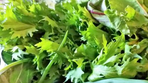 Salmon over Organic Mizuna Greens - Eat-in With YiaYia