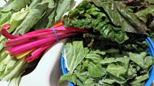 Callaloo - EatinWithYiaYia.com