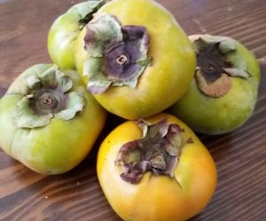 Persimmon Vinaigrette - EatinWithYiaYia.com